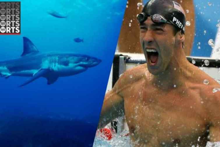 Ağ köpək balığı 23 qat olimpiya çempionuna qalib gəlib – VİDEO