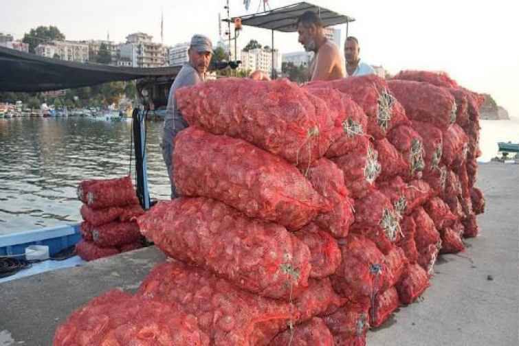 Balıqçılar dəniz ilbizindən pul qazanırlar