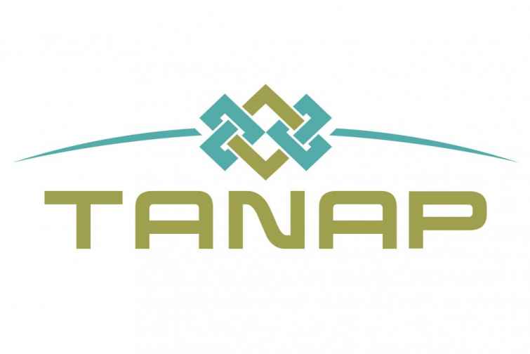 TANAP dünya enerji bazarında Azərbaycan və Türkiyənin mövqelərini daha da gücləndirəcək