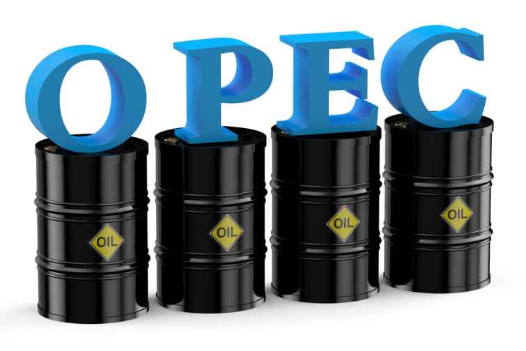 OPEC və bəzi qeyri-OPEC ölkələri Vyana sazişini ilin sonunadək tətbiq etməkdə qərarlıdır