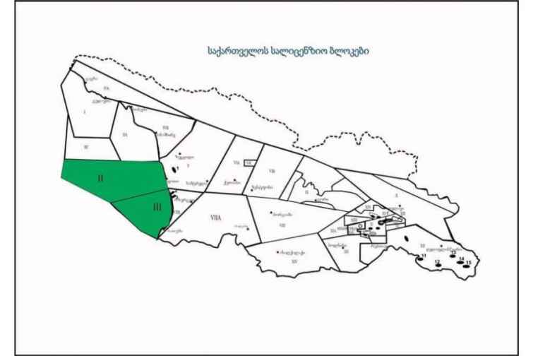 Gürcüstan Qara dənizdə yeni neft və qaz ehtiyatlarının axtarışına başlayır