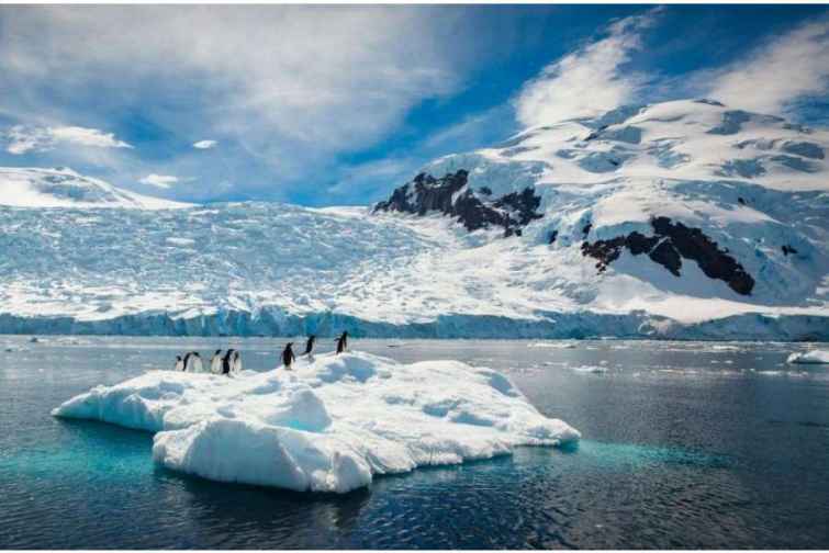 Antarktidada rekord temperatur qeydə alınıb