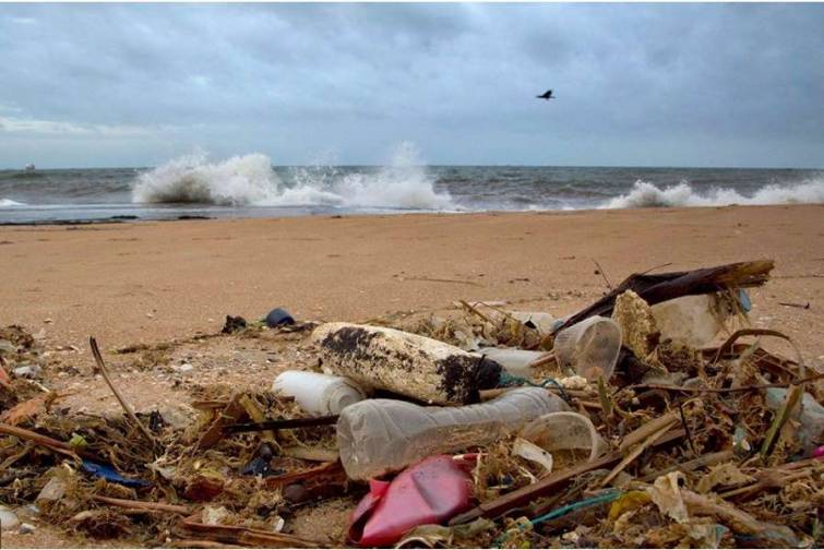 Okeana düşən plastik materiallar çox xırda hissələrə bölünür