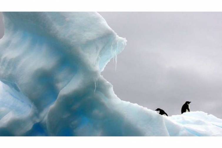 Antarktidada dünya sivilizasiyası üçün gözlənilməz təhlükə aşkarlandı