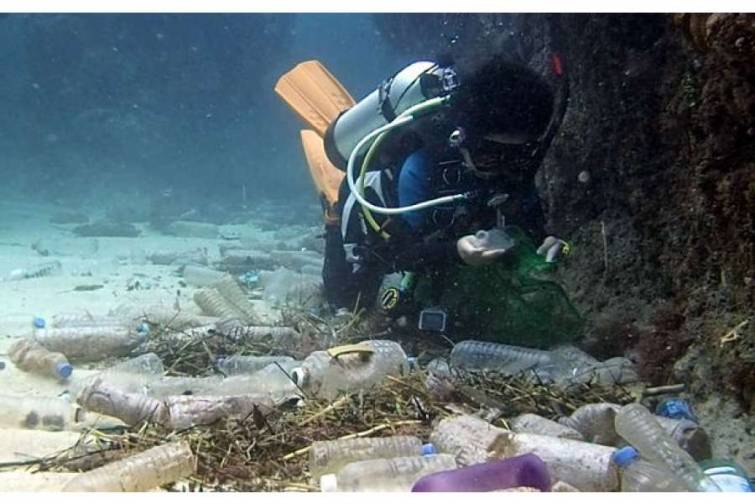 Alimlər:30 il sonra okeanda plastik tullantıların sayı balıqların sayını keçəcək