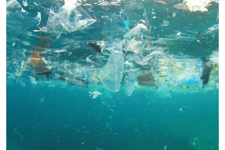 Okeanda plastik tullantıların miqdarının 10 dəfə çox olduğu müəyyənləşib