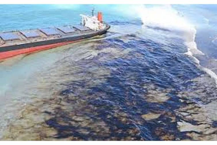 Yaponiya Hind okeanında saya oturan gəminin Mavrikiya iqtisadiyyatına vurduğu ziyanı araşdıracaq