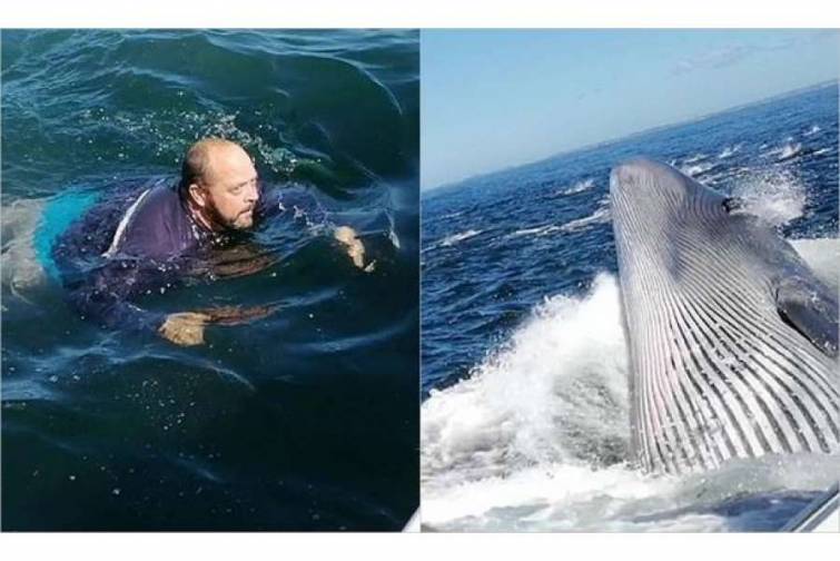 Qayığına balina çırpılan kişi dəniz nəhənginin qarnına düşməkdən son anda xilas olub