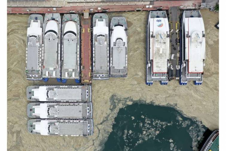Marmara dənizində yaranmış qatı selik təbəqəsi burada yaşayan canlılar üçün böyük təhlükə yaradır