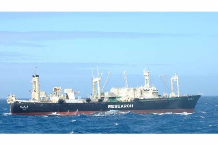 Yaponiyanın balina ovu &uuml;zrə ixtisaslaşan şirkəti yeni gəminin inşasına 55 milyon dollar sərmayə qoyacaq