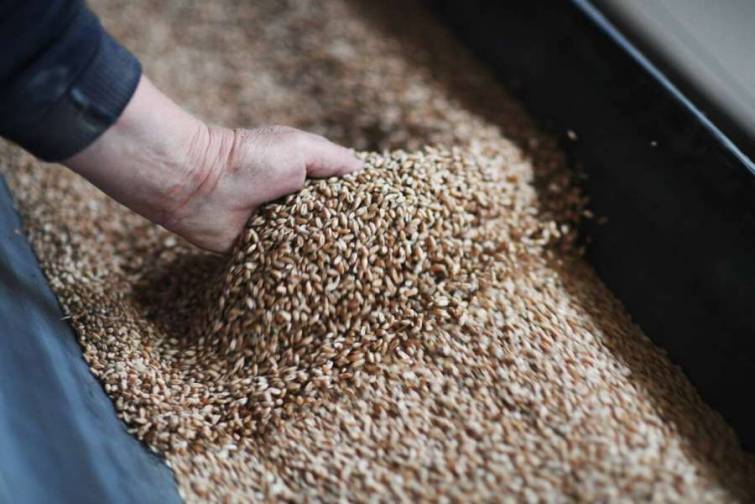 Ukrayna taxılı &uuml;&ccedil; liman vasitəsilə ixrac ediləcək