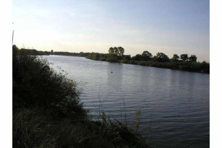 Balıqların k&uuml;tləvi məhvi ilə bağlı &uuml;&ccedil; ehtimal nəzərdən ke&ccedil;irilir