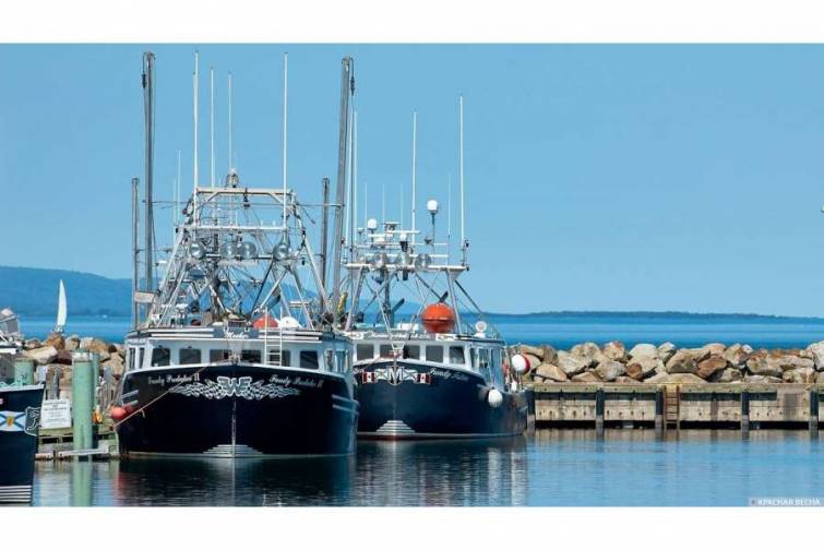 İrlandiya balıq&ccedil;ılıq donanmasının ixtisarına 80 milyon avro xərcləyəcək