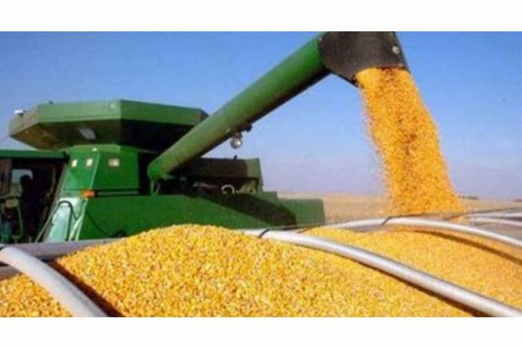 Ukrayna limanlarından ərzaq daşıyan 4 gəminin yola salınmasına icazə verilib