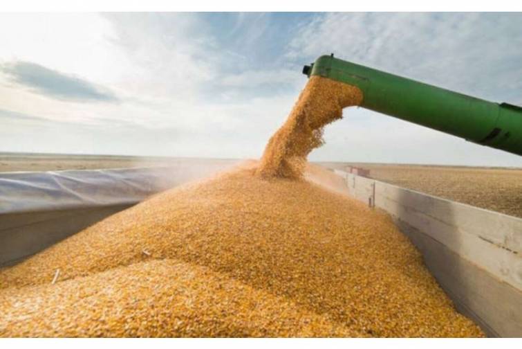 Fransa və Rumıniya Ukrayna taxılının ixracına dəstək haqqında saziş imzalayıblar