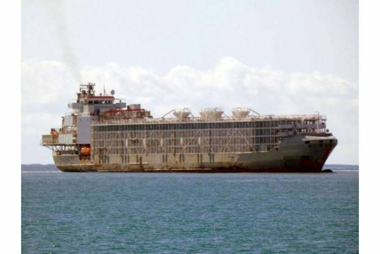 Avropa təşkilatları diri heyvanların dəniz yolu ilə başqa &ouml;lkələrə ixracını dayandırmağa &ccedil;ağırır