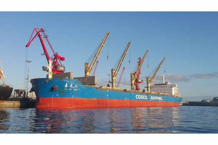 &ldquo;COSCO&rdquo; yeni gəmilərin alınmasına 134 milyon dollar sərmayə qoymağı planlaşdırır