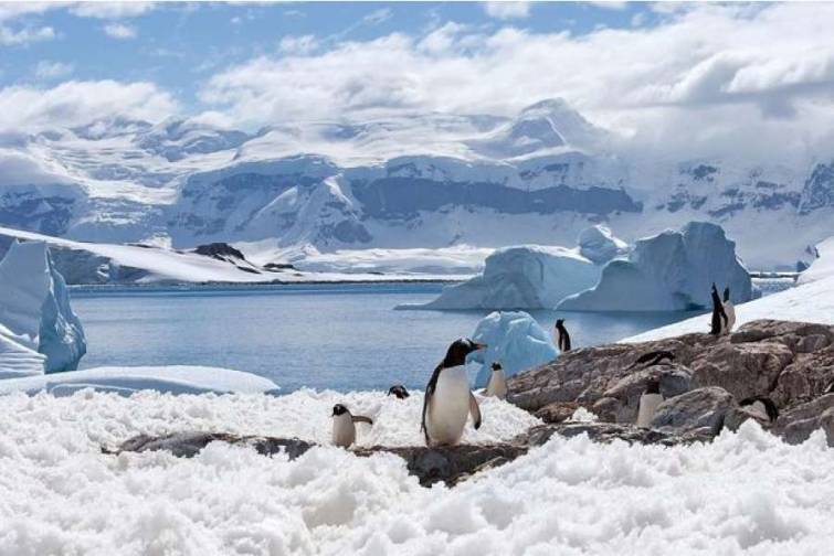 Antarktida buzlaqlarının sahəsi minimum həddə çatıb