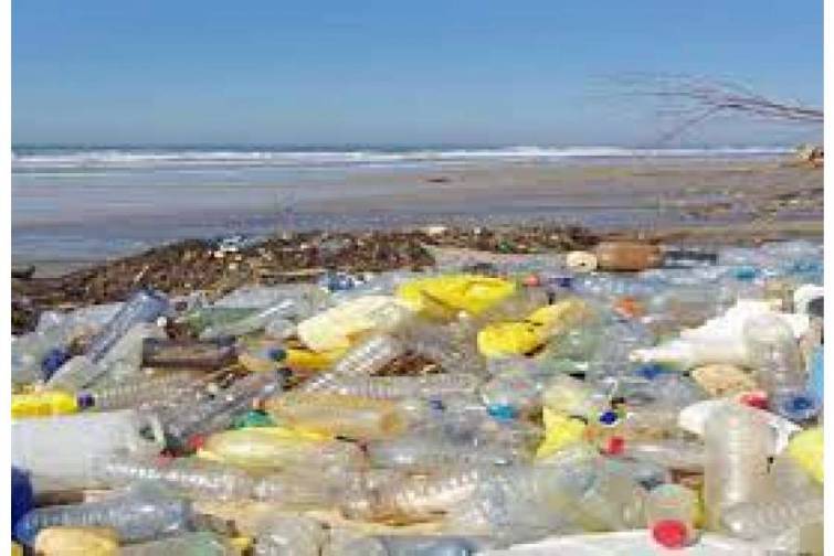 Gəmilərə içməli suyun verildiyi plastik butulkaların illik tədarükündən Aya körpü çəkmək olar