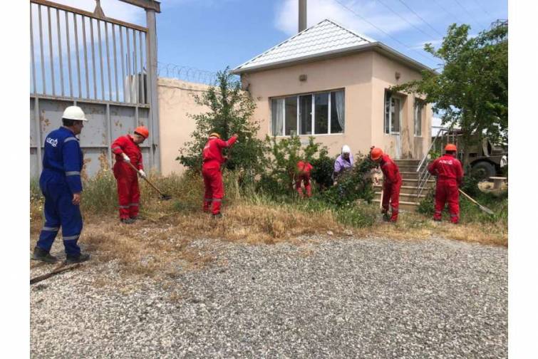 ASCO-nun strukturuna daxil olan idarələrdə Dünya Ətraf Mühitin Mühafizəsi Günü qeyd olunub