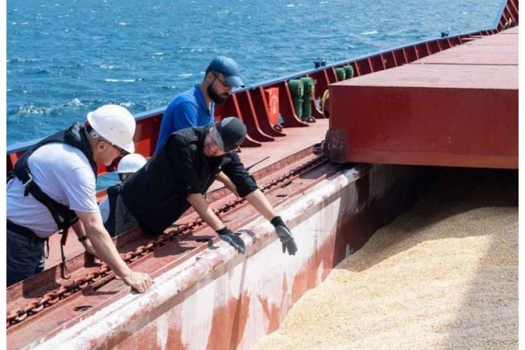 Ukrayna öz taxılının ixracı üçün alternativ marşrut tapıb