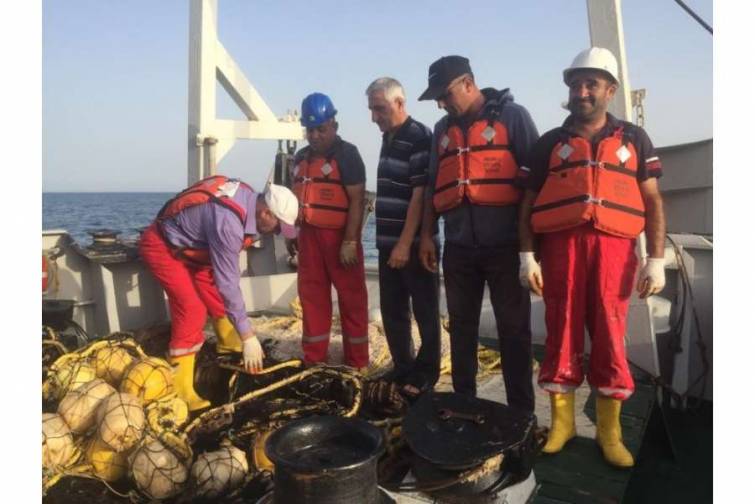 Xəzərdəki kütüm və külmə balıqlarının populyasiyasında güclü cavanlaşma müşahidə edilib