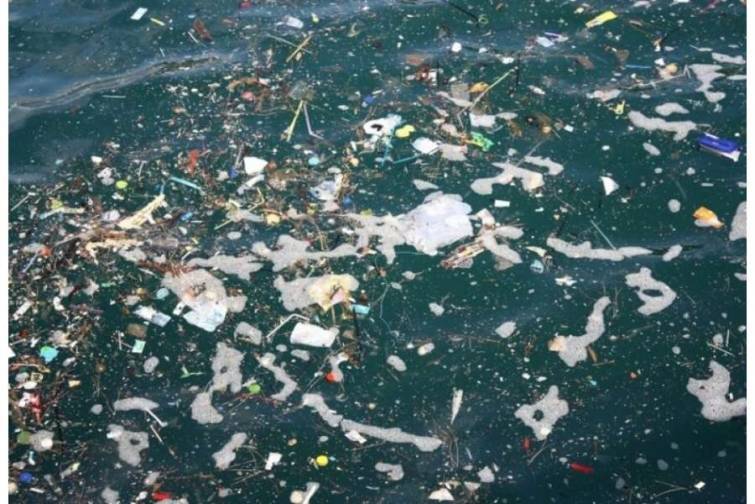 Biomühəndislər Dünya okeanını təmizləyəcək GMO bakteriyası yaradıblar