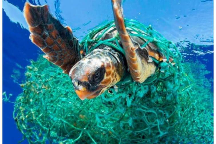 Dünya okeanına hər il 11 milyon ton mikroplastik atılır