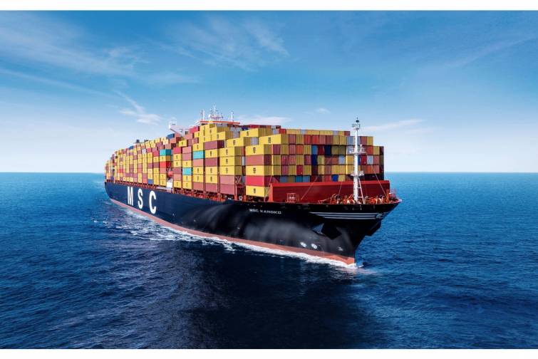 “MSC” Braziliya logistika və terminal operatorunu 768 milyon dollara alacaq