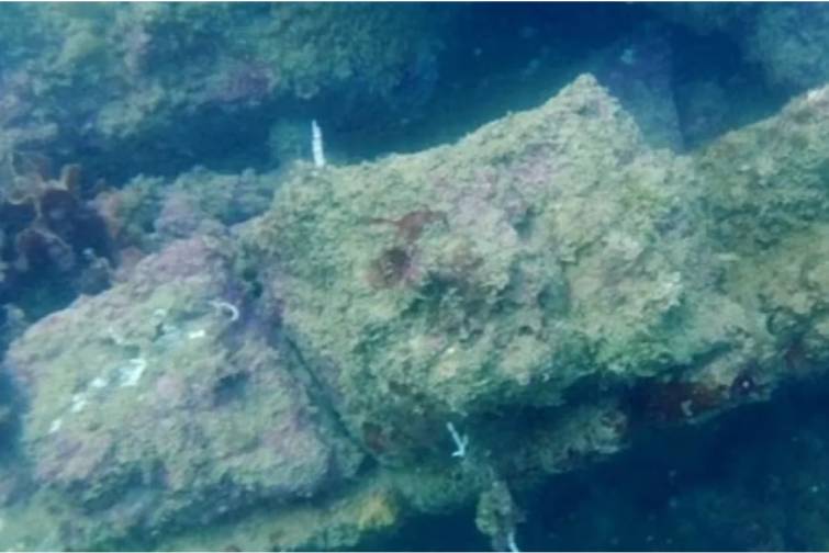 Arxeoloqlar əfsanəvi Atlantidanın izlərini aşkar etdilər