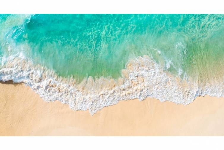 Alimlərdən okeanda zəhərli civə balansının pozulması barədə xəbərdarlıq