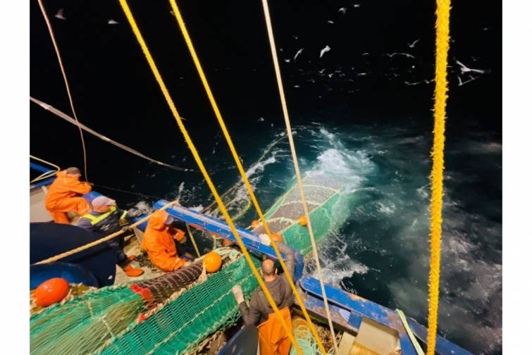 Xəzər və daxili sularda balıq ehtiyatlarının qiymətləndirilməsi &uuml;zrə ekspedisiya yekunlaşıb