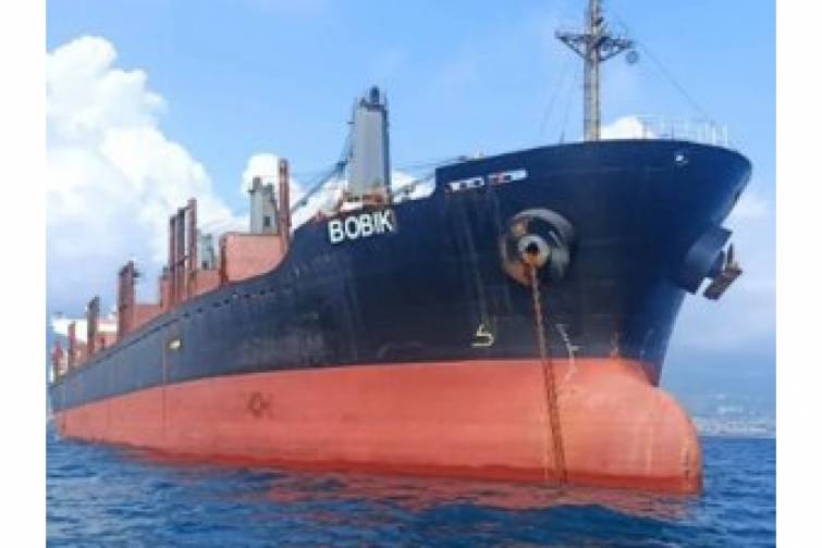 T&uuml;rkiyə şirkətinə məxsus gəmiyə Bab əl-Məndəb boğazında h&uuml;cum cəhdləri olub