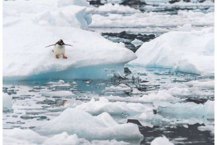 Arktikada temperatur rekord həddə &ccedil;atıb