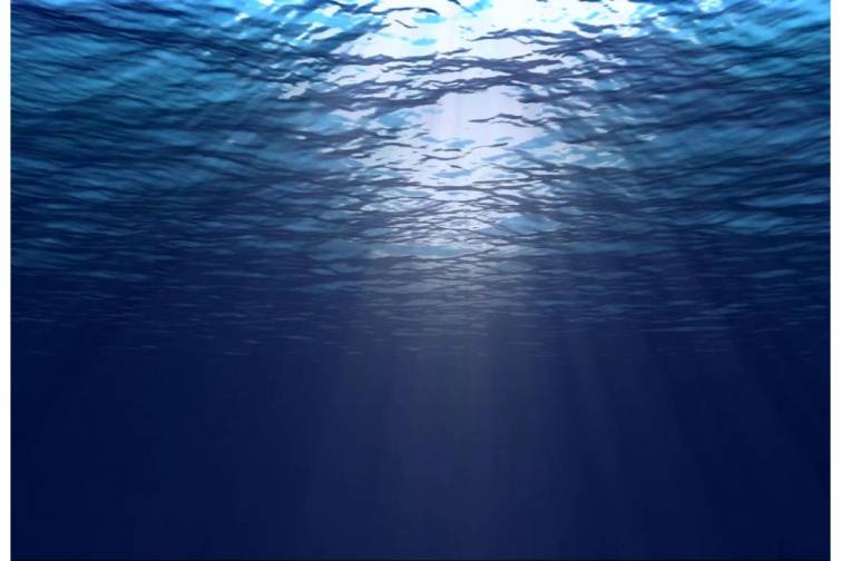 BMT-nin okeanla bağlı sazişi q&uuml;vvəyə minib