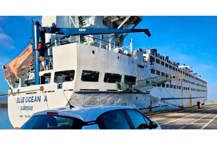 İtaliyada mal-qara daşıyan gəmi 54 təhl&uuml;kəsizlik q&uuml;suruna g&ouml;rə saxlanılıb